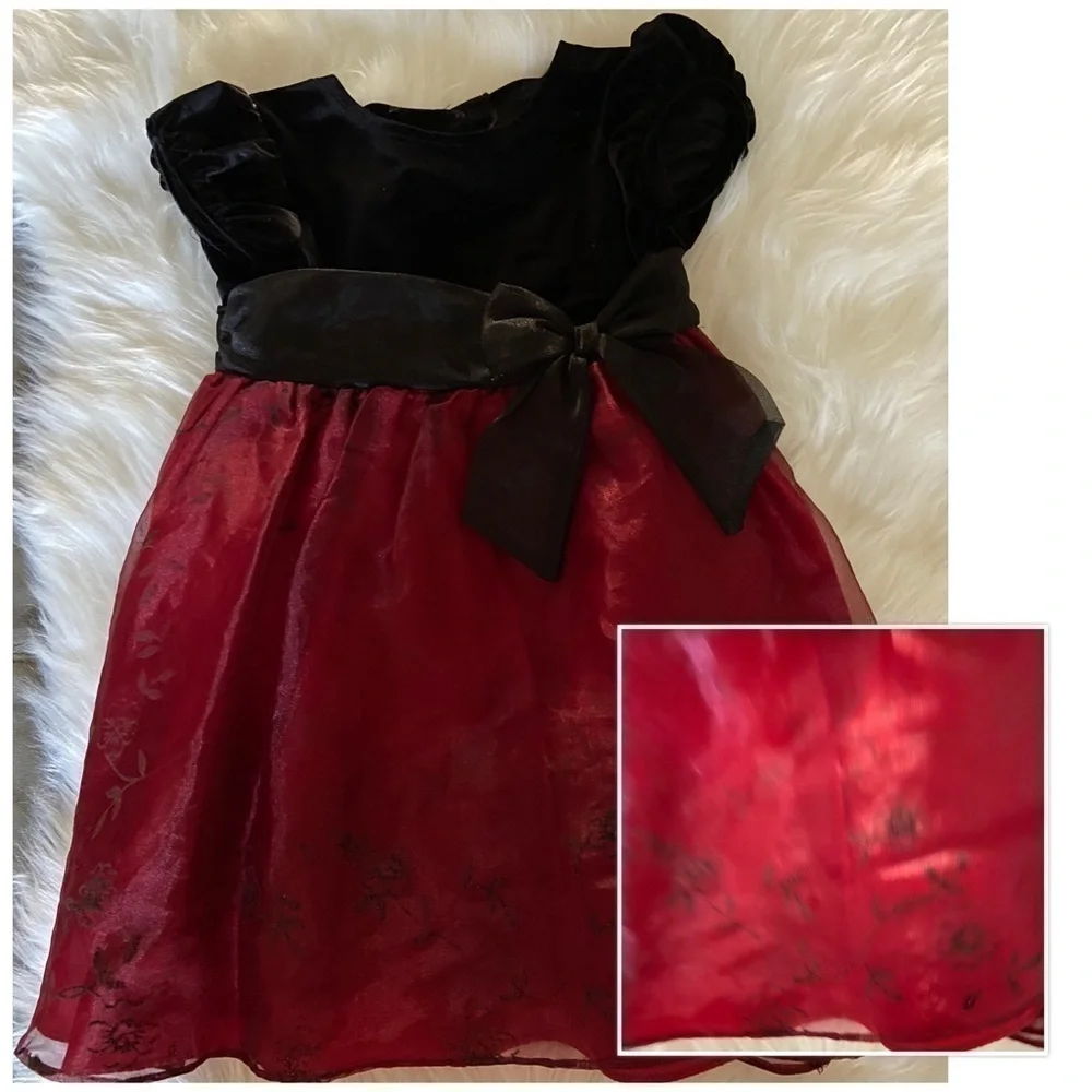 RARE Two Little Girls Velvet Dress